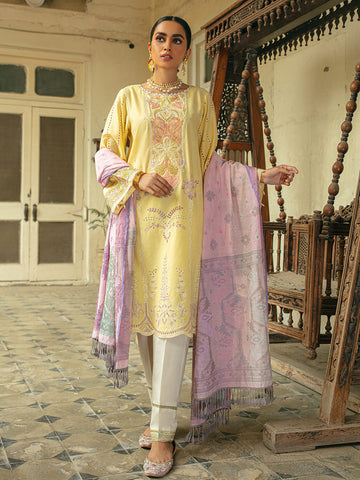 RajBari D 7B Festive Lawn Vol 14 2022 Online Shopping